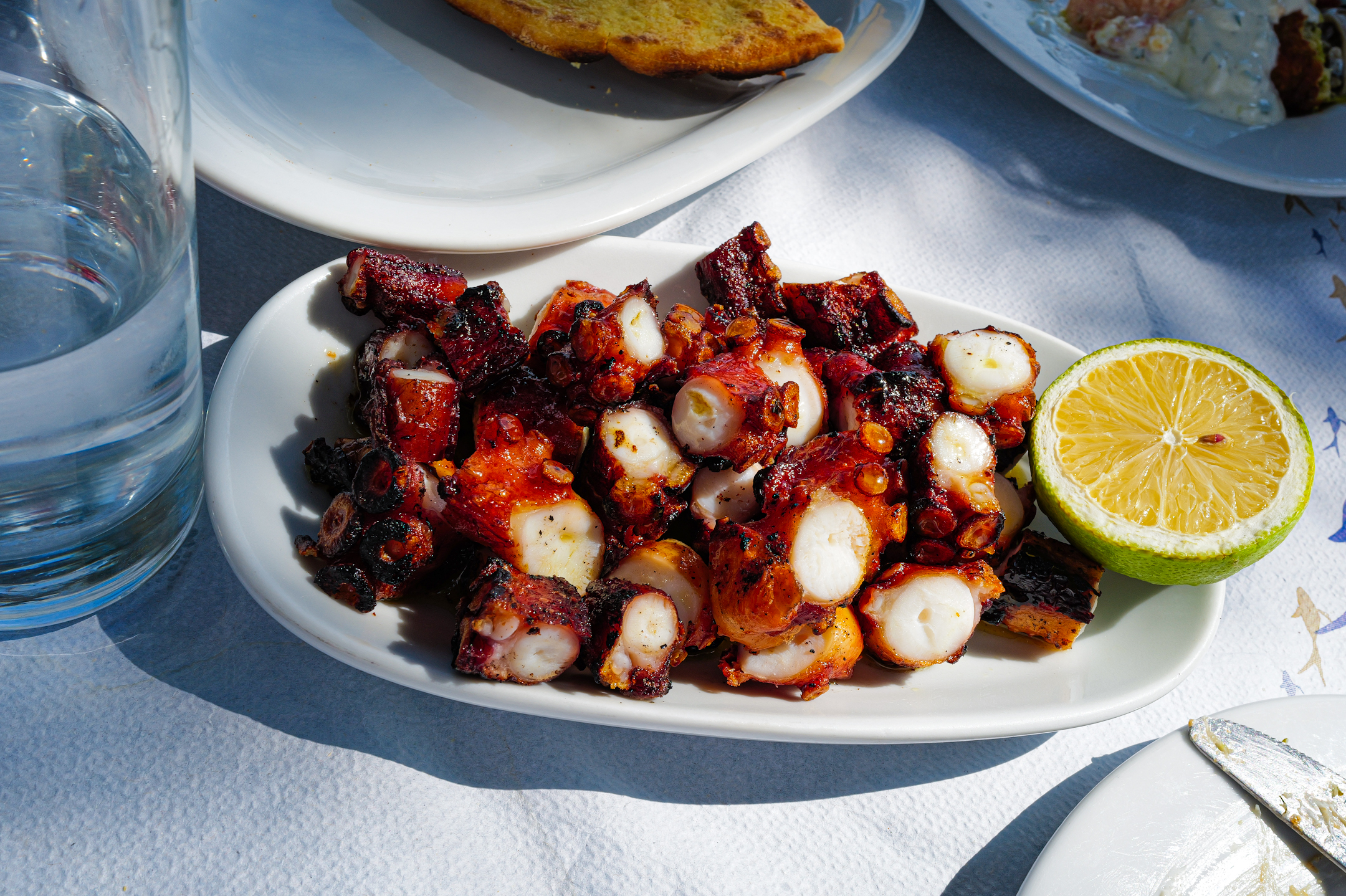 Kavostaverna.octopus