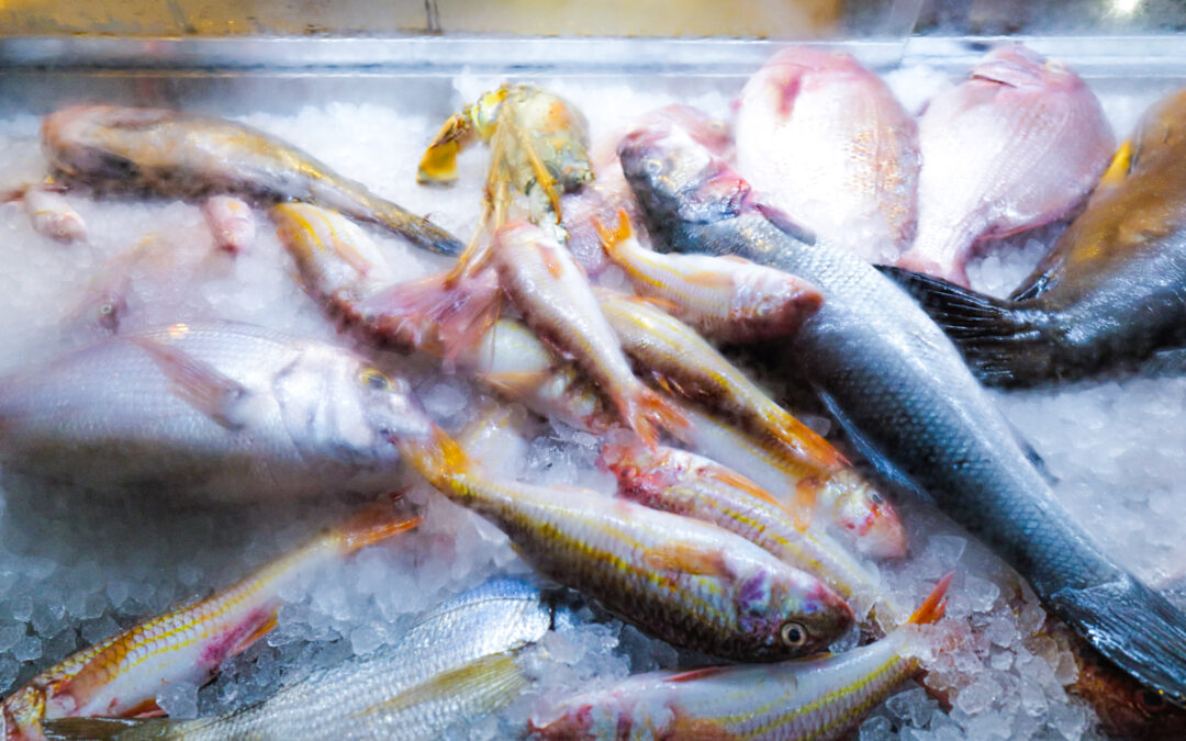 Tarsanas – Spetses