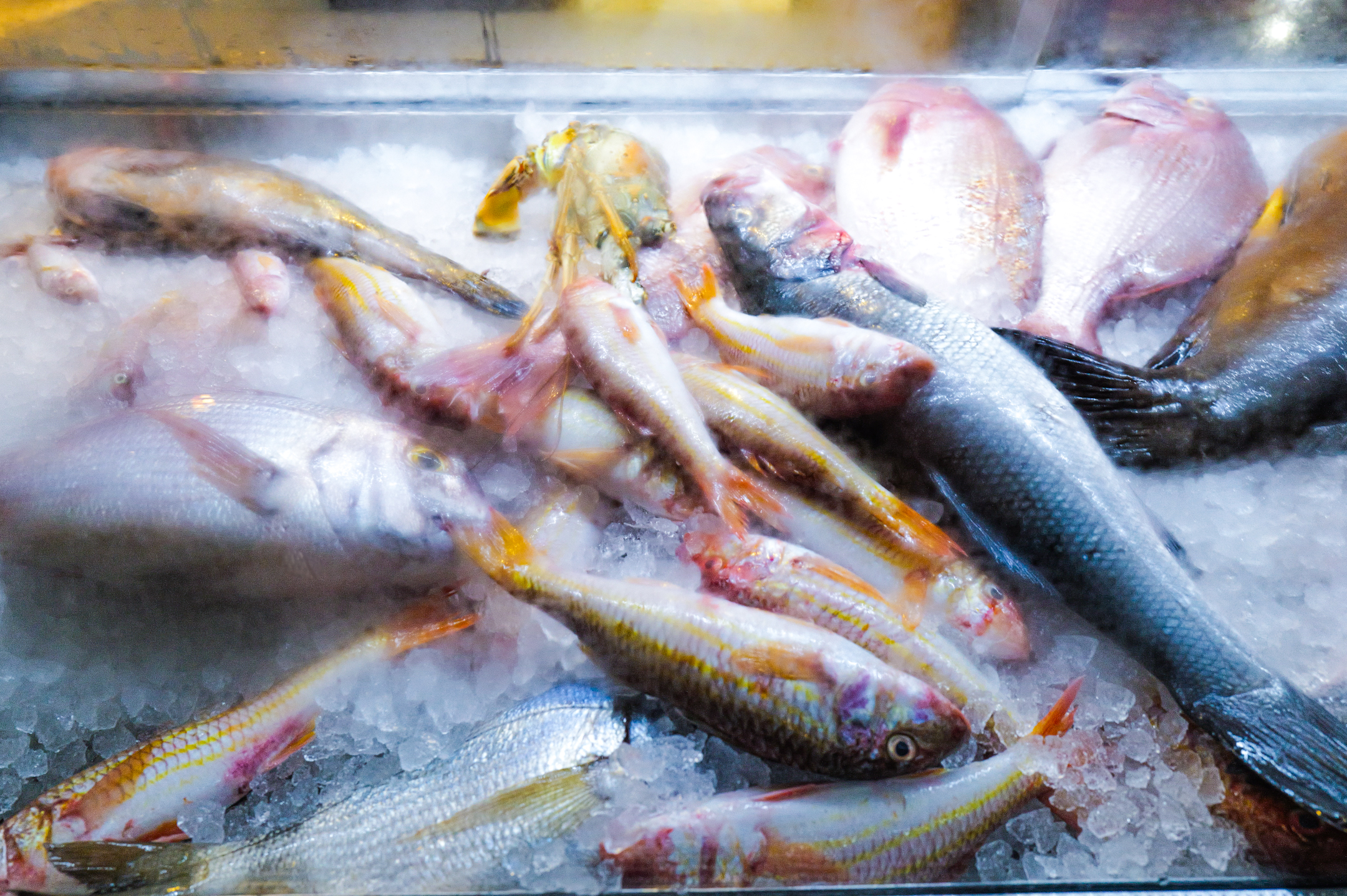 TarsanasT2.fishcounter