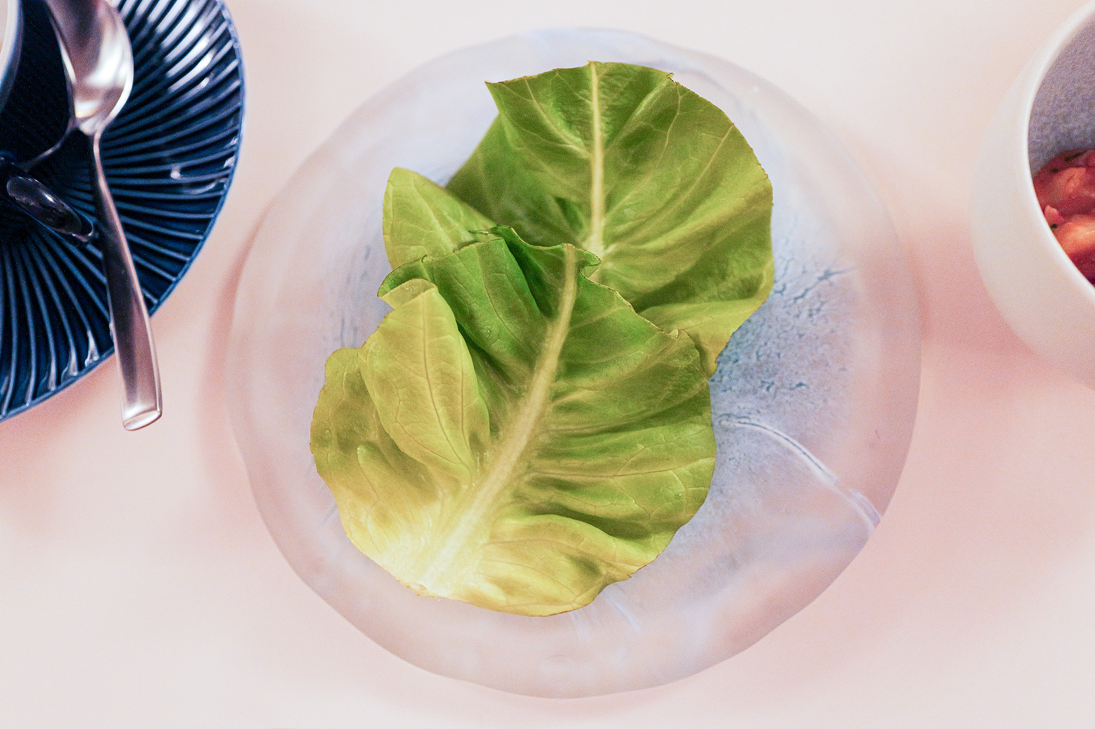 Omar Dhiab, lettuce