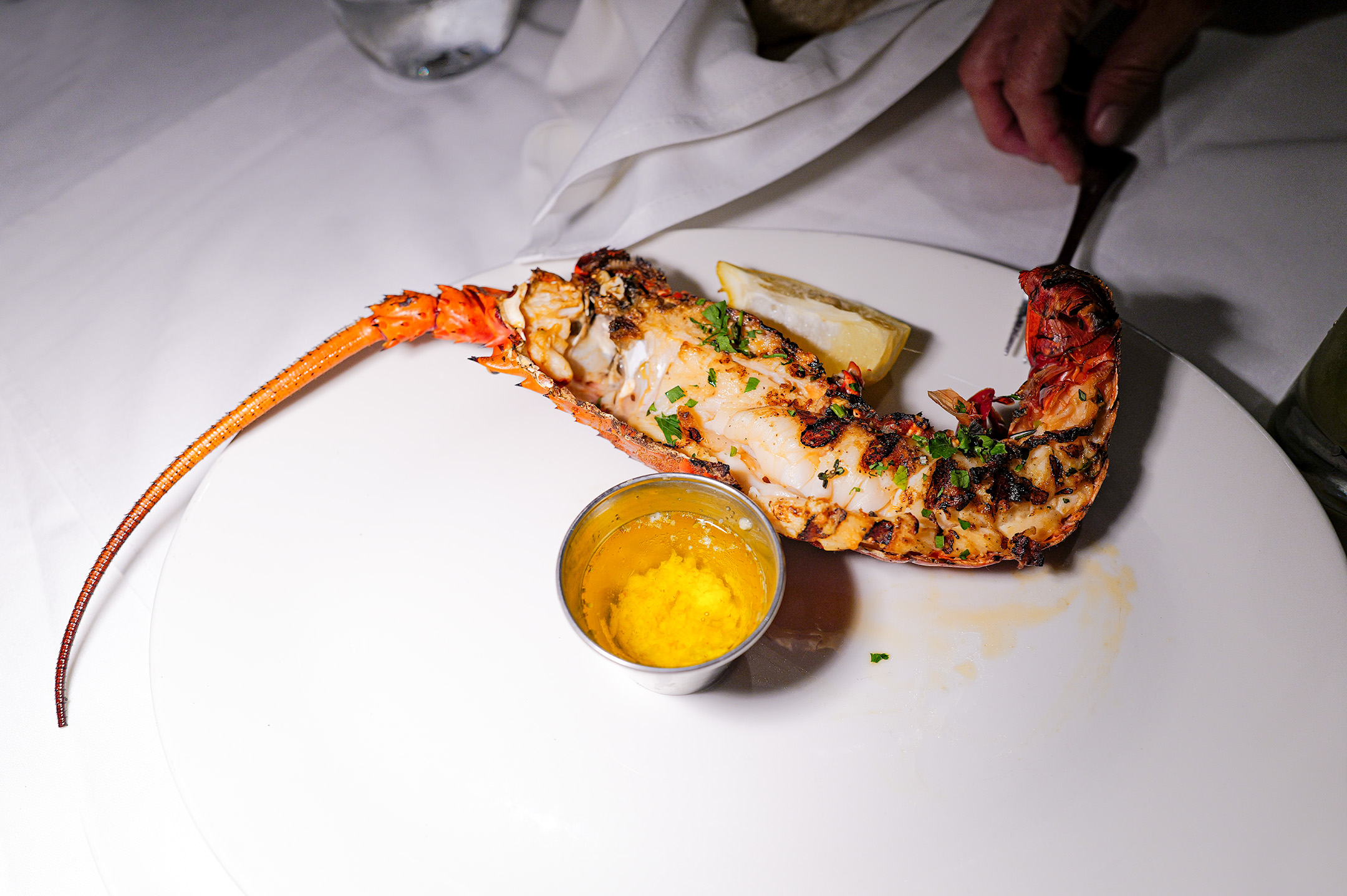 The lobster, lobster
