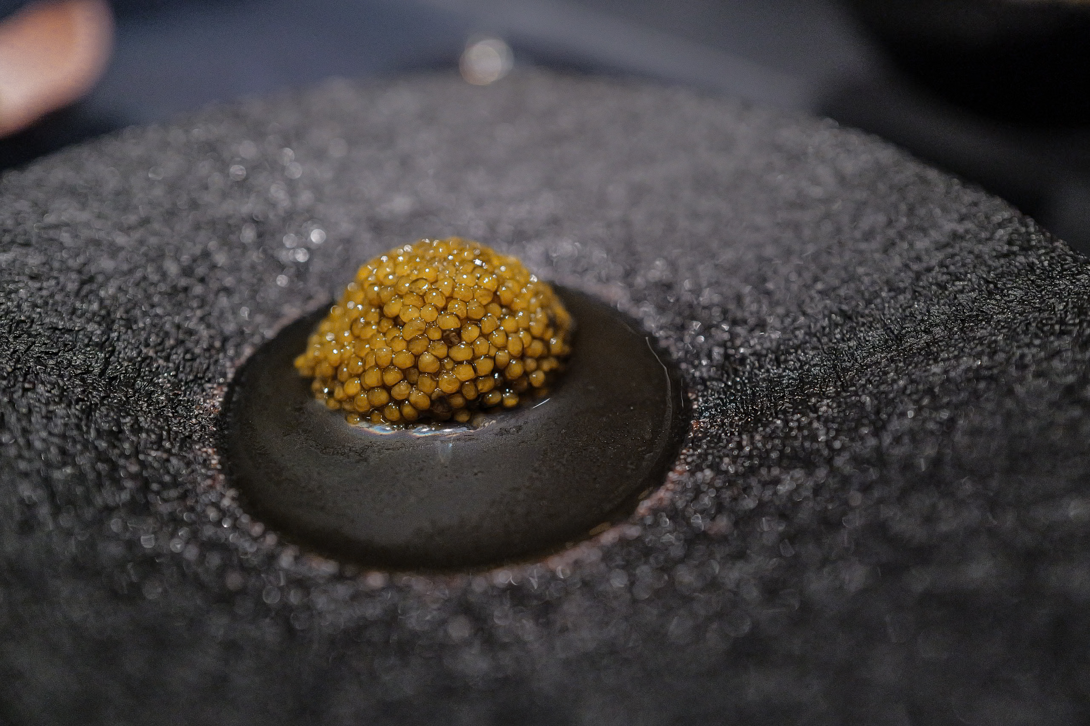 Vespertine mussel 2